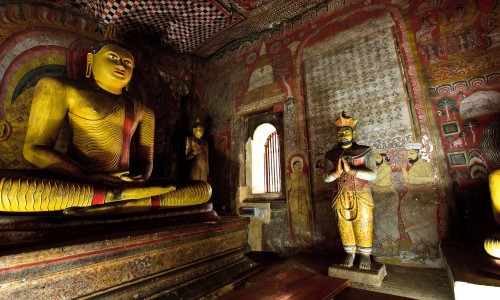 Circuit Ayurveda